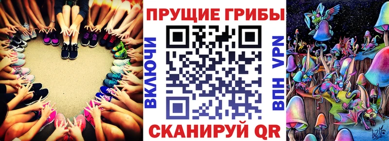 hydra   Магадан  Галлюциногенные грибы мухоморы 