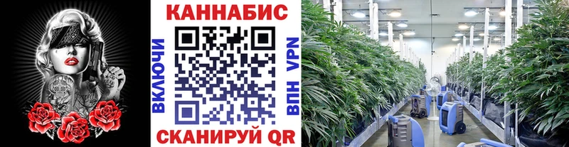 KRAKEN маркетплейс  Магадан  Бошки Шишки SATIVA & INDICA 